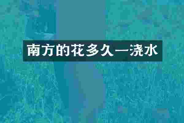 南方的花多久一浇水