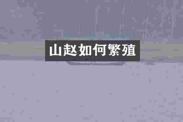 山赵如何繁殖