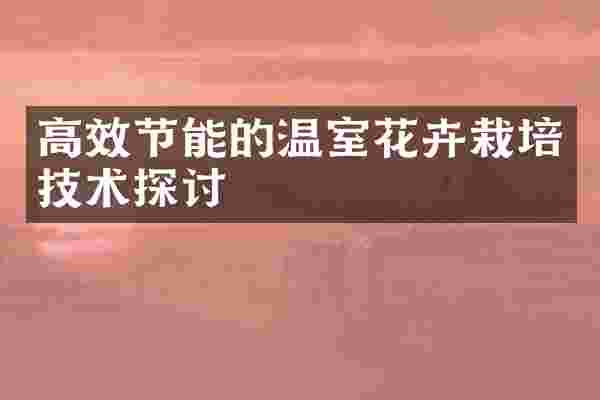 高效节能的温室花卉栽培技术探讨