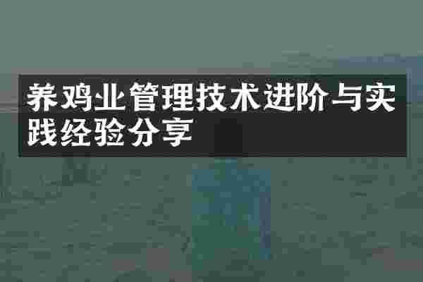 养鸡业管理技术进阶与实践经验分享