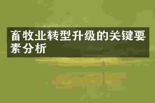 畜牧业转型升级的关键要素分析
