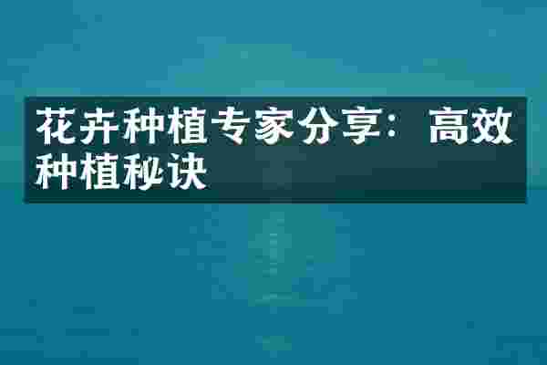 花卉种植专家分享：高效种植秘诀