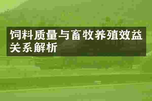 饲料质量与畜牧养殖效益关系解析