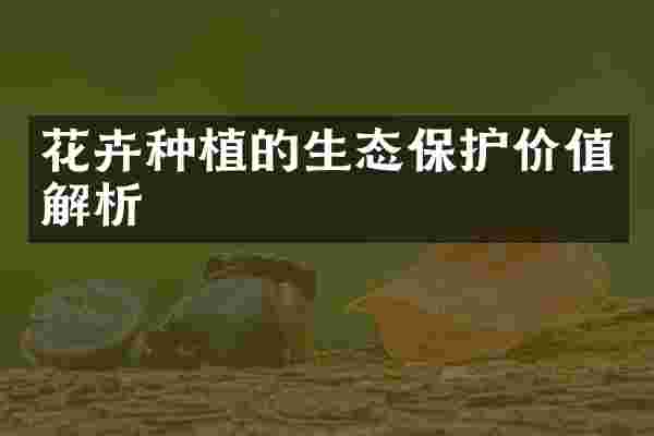 花卉种植的生态保护价值解析