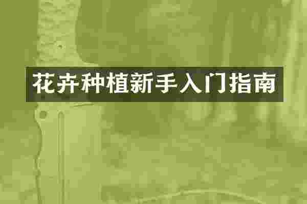 花卉种植新手入门指南