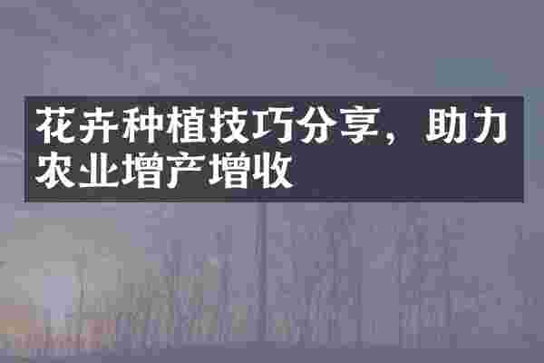 花卉种植技巧分享，助力农业增产增收