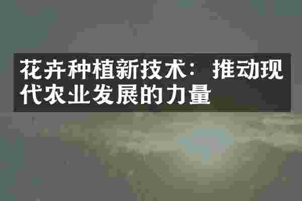 花卉种植新技术：推动现代农业发展的力量