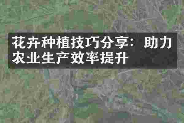 花卉种植技巧分享：助力农业生产效率提升