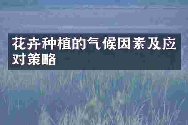 花卉种植的气候因素及应对策略