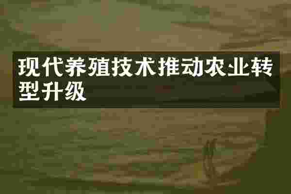 现代养殖技术推动农业转型升级