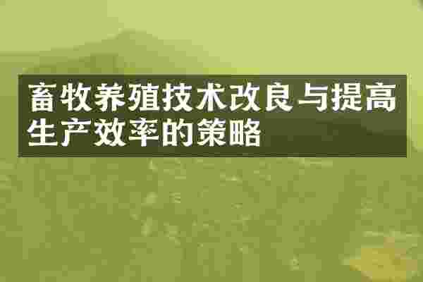 畜牧养殖技术改良与提高生产效率的策略
