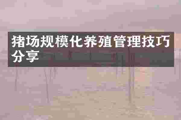 猪场规模化养殖管理技巧分享