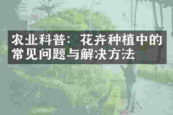 农业科普：花卉种植中的常见问题与解决方法