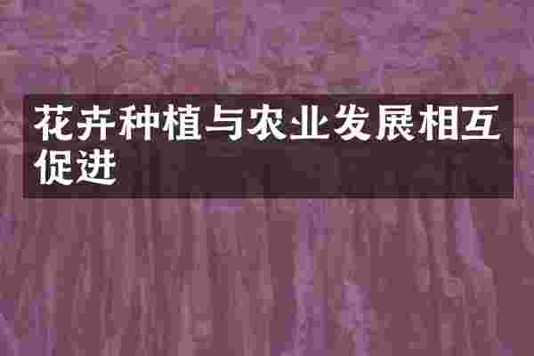 花卉种植与农业发展相互促进