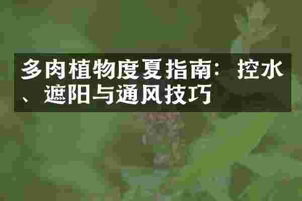 多肉植物度夏指南：控水、遮阳与通风技巧