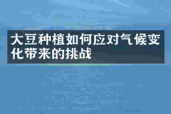 大豆种植如何应对气候变化带来的挑战
