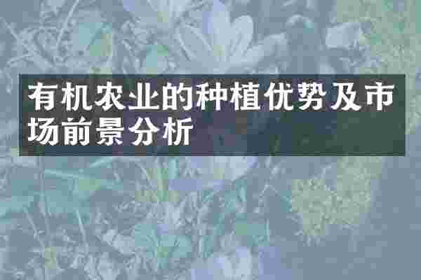 有机农业的种植优势及市场前景分析
