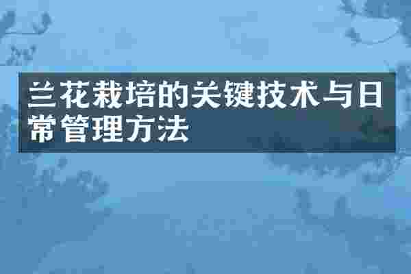 兰花栽培的关键技术与日常管理方法