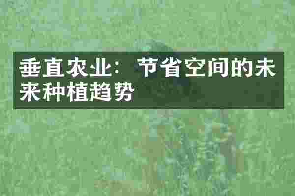 垂直农业：节省空间的未来种植趋势