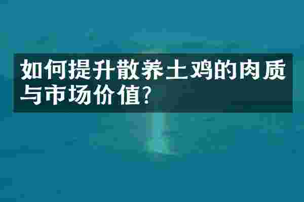 如何提升散养土鸡的肉质与市场价值？