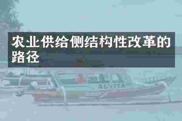 农业供给侧结构性改革的路径