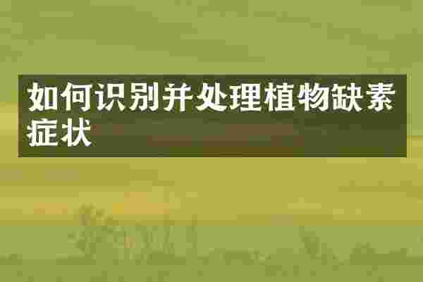 如何识别并处理植物缺素症状