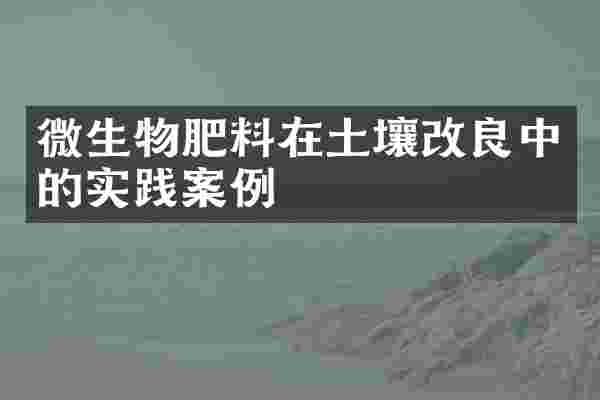 微生物肥料在土壤改良中的实践案例