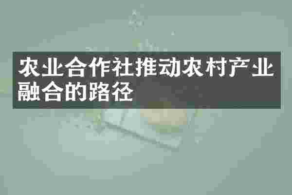 农业合作社推动农村产业融合的路径