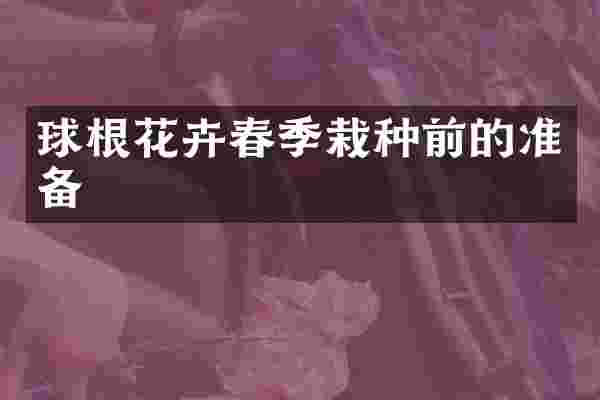 球根花卉春季栽种前的准备