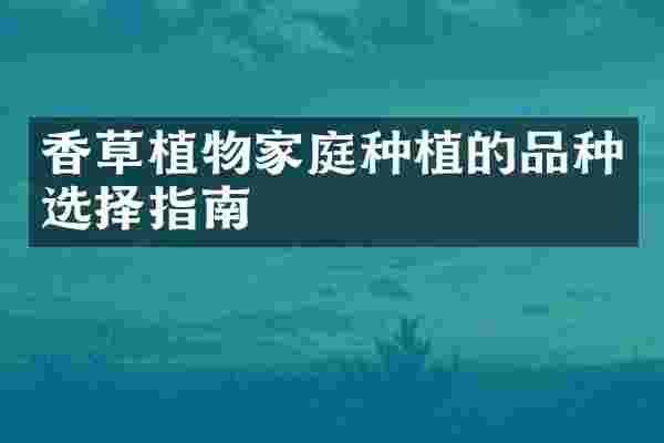 香草植物家庭种植的品种选择指南