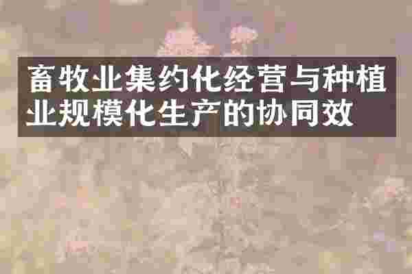 畜牧业集约化经营与种植业规模化生产的协同效应