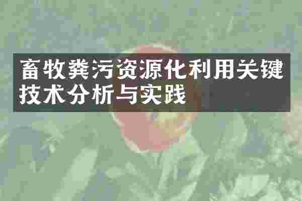 畜牧粪污资源化利用关键技术分析与实践