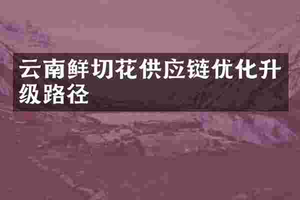 云南鲜切花供应链优化升级路径