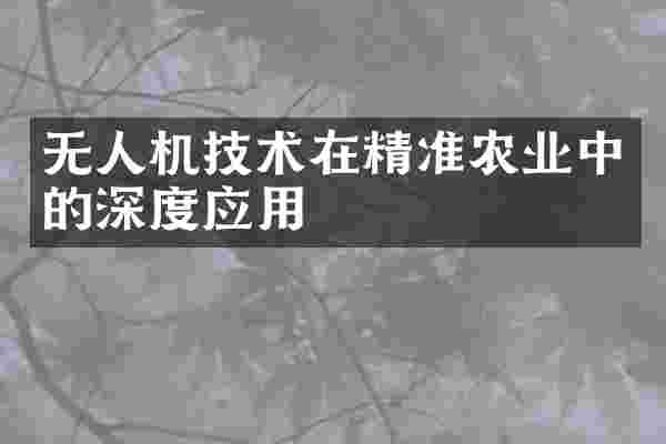 无人机技术在精准农业中的深度应用