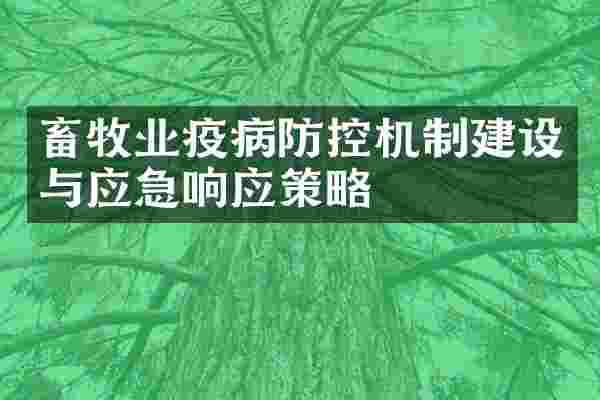 畜牧业疫病防控机制建设与应急响应策略