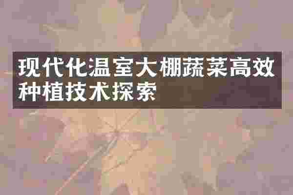 现代化温室大棚蔬菜高效种植技术探索