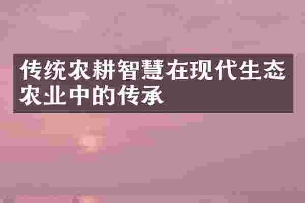 传统农耕智慧在现代生态农业中的传承