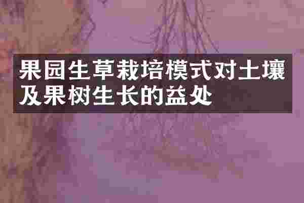 果园生草栽培模式对土壤及果树生长的益处