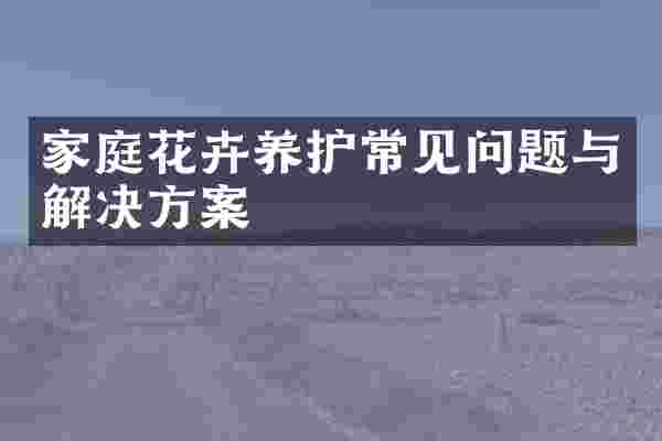 家庭花卉养护常见问题与解决方案
