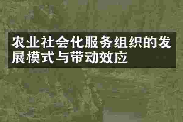 农业社会化服务组织的发展模式与带动效应
