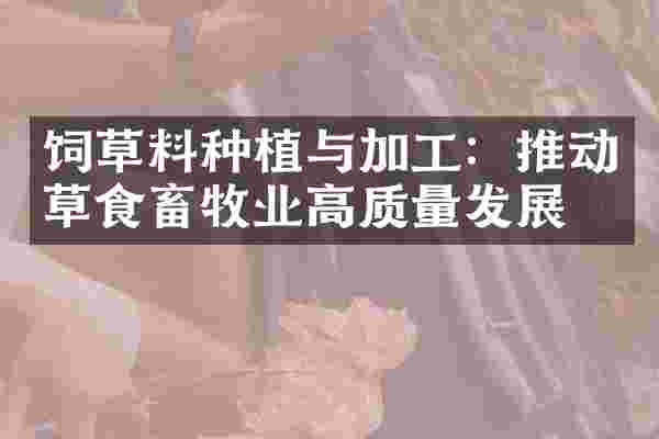 饲草料种植与加工：推动草食畜牧业高质量发展