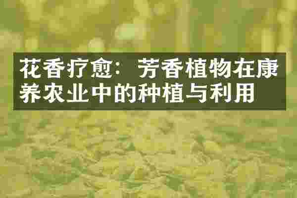 花香疗愈：芳香植物在康养农业中的种植与利用