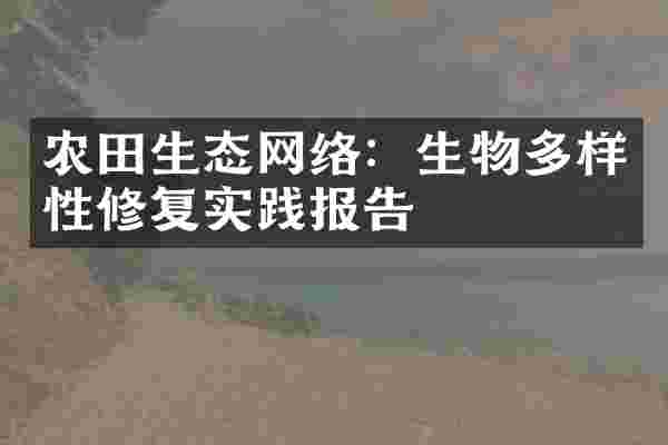 农田生态网络：生物多样性修复实践报告