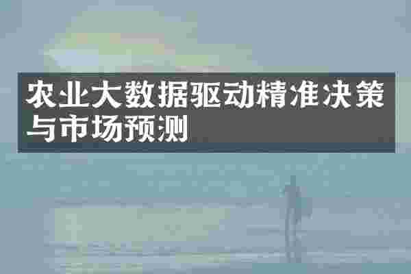 农业大数据驱动精准决策与市场预测