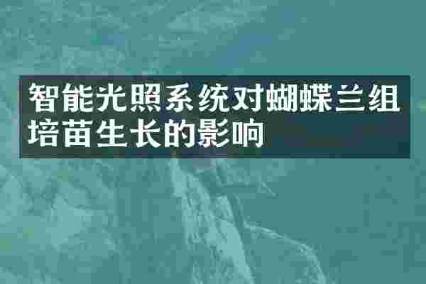 智能光照系统对蝴蝶兰组培苗生长的影响