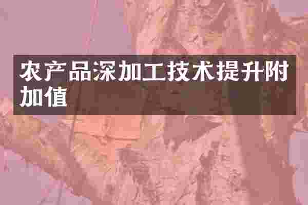 农产品深加工技术提升附加值