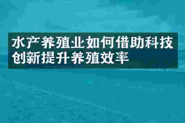 水产养殖业如何借助科技创新提升养殖效率