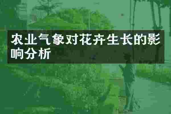 农业气象对花卉生长的影响分析