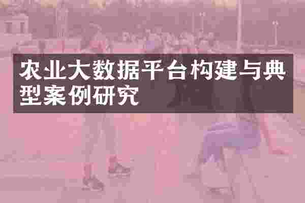 农业大数据平台构建与典型案例研究