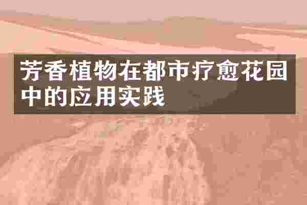 芳香植物在都市疗愈花园中的应用实践